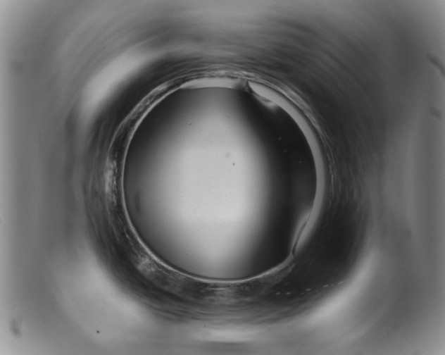 X0000099461438200805231756