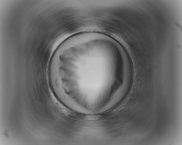 X0000099461440200805231756