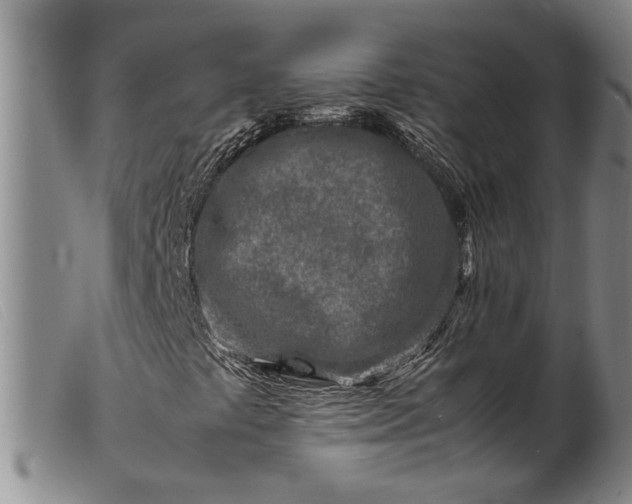 X0000099461441200805231755