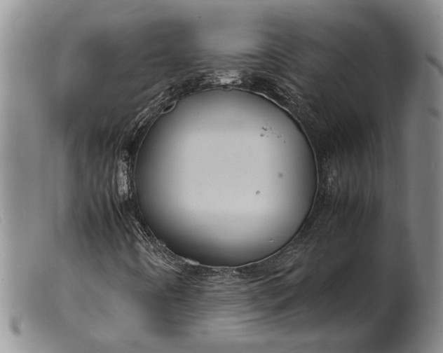 X0000099461442200805231755