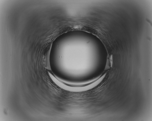 X0000099461443200805231755