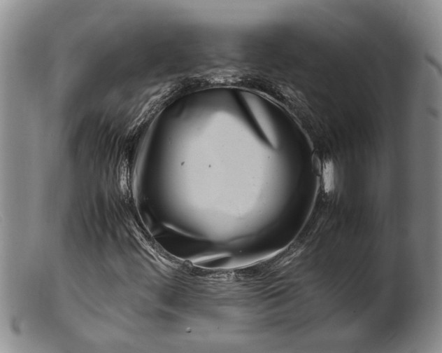 X0000099461444200805231755