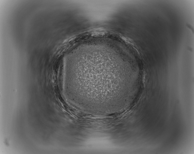 X0000099461445200805231755