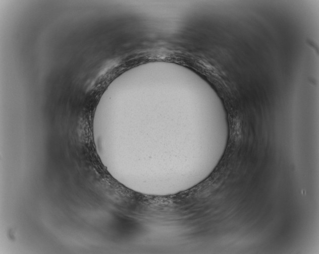 X0000099461446200805231755