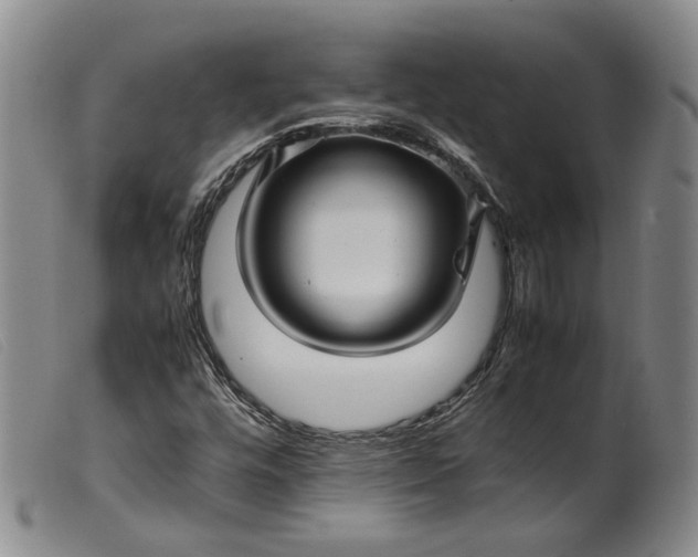 X0000099461448200805231755