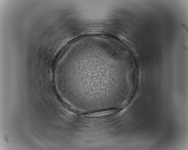 X0000099461449200805231755