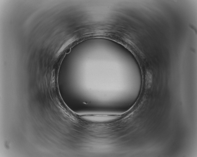 X0000099461450200805231755