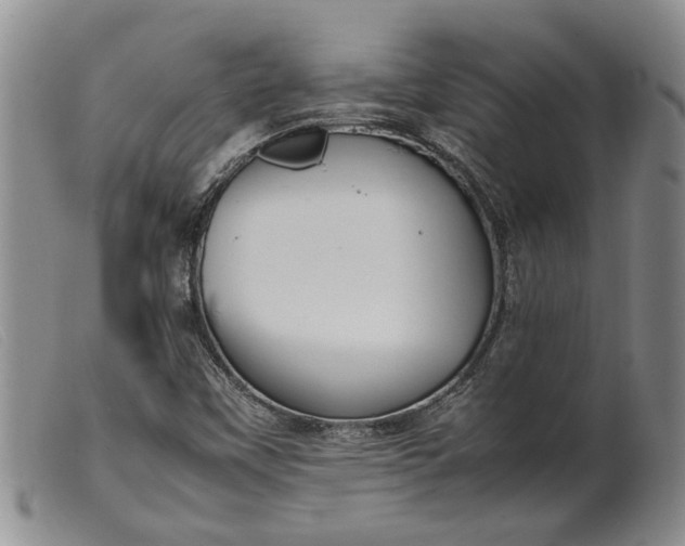 X0000099461451200805231755