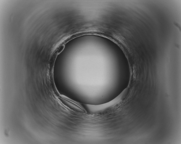 X0000099461452200805231755