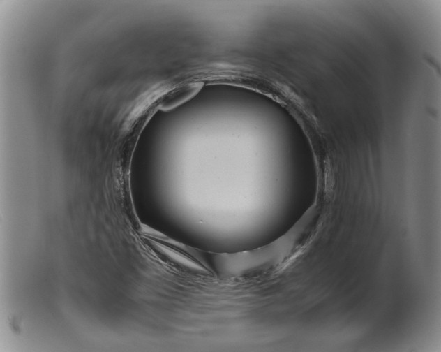 X0000099461453200805231755