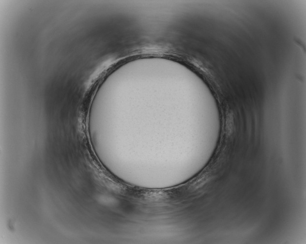 X0000099461454200805231754