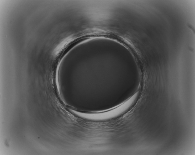 X0000099461455200805231754