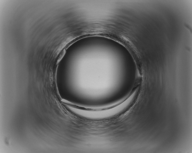 X0000099461457200805231754