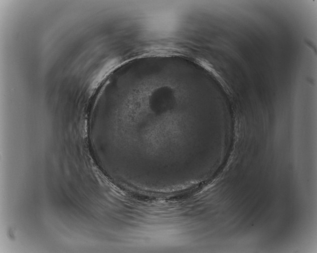 X0000099461459200805231754