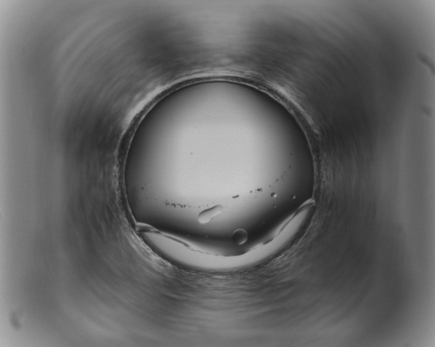 X0000099461460200805231754