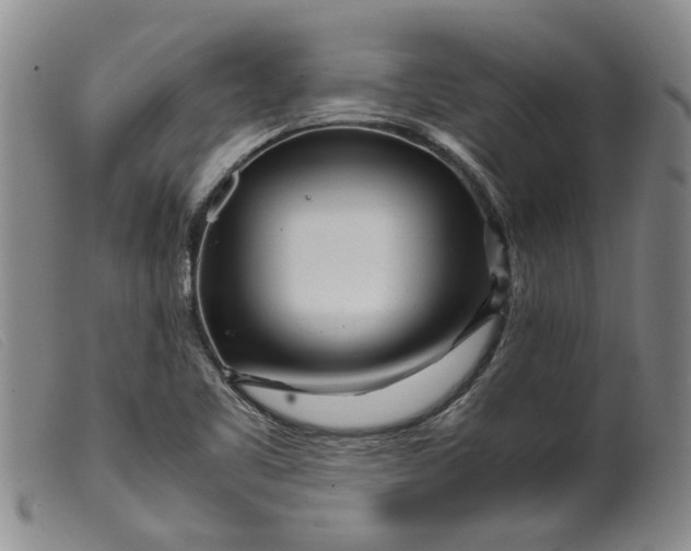 X0000099461461200805231754