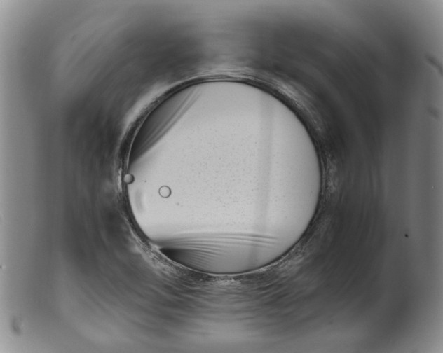 X0000099461462200805231754