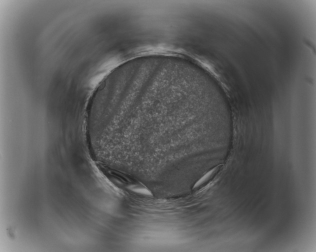 X0000099461463200805231754