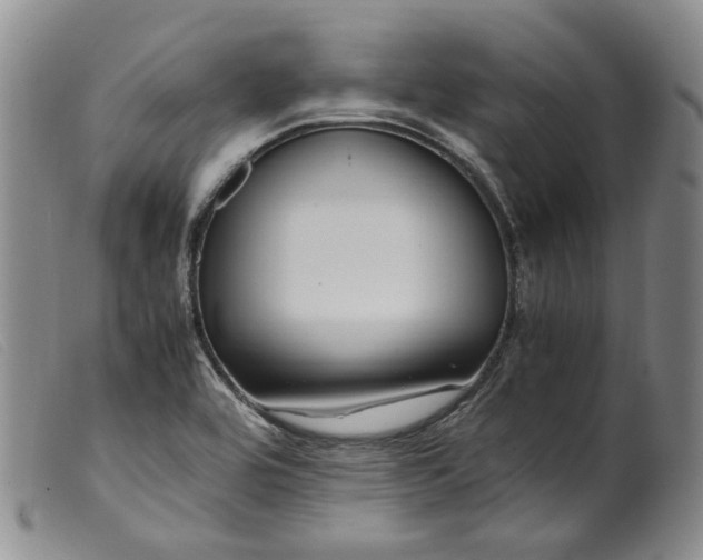 X0000099461464200805231754