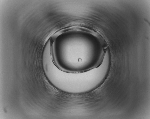 X0000099461465200805231754