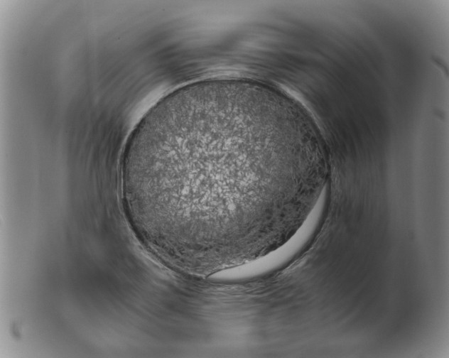 X0000099461467200805231754