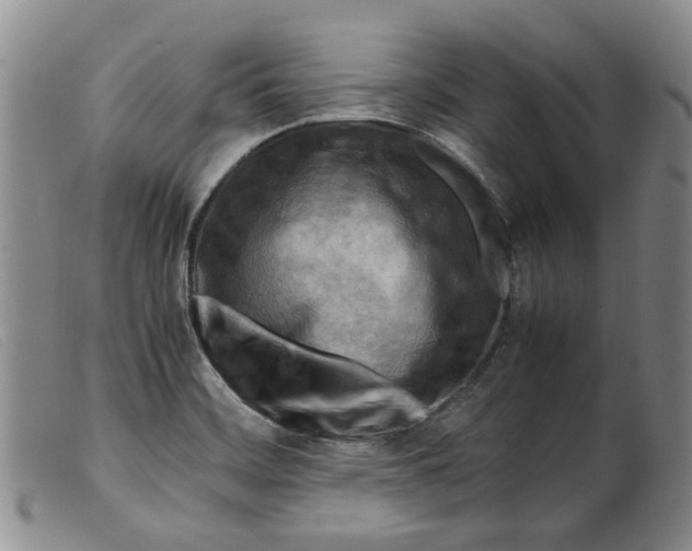 X0000099461468200805231754