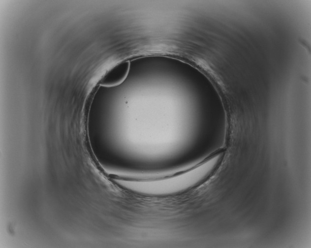 X0000099461469200805231754