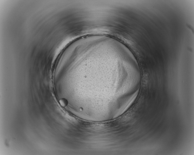 X0000099461470200805231754