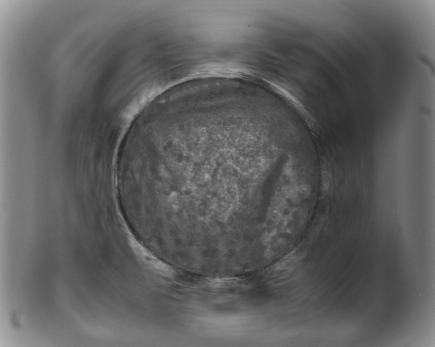 X0000099461471200805231754