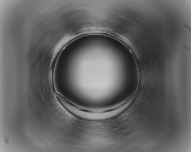 X0000099461472200805231754