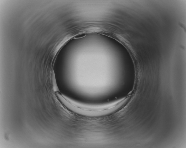 X0000099461473200805231754