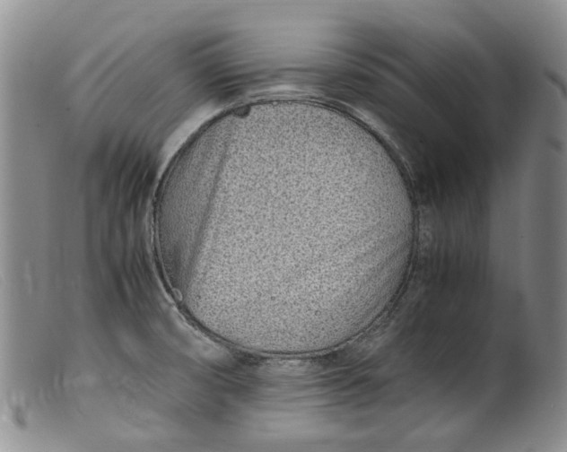 X0000099461474200805231754