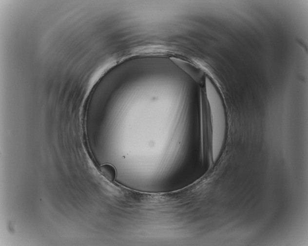 X0000099461475200805231754