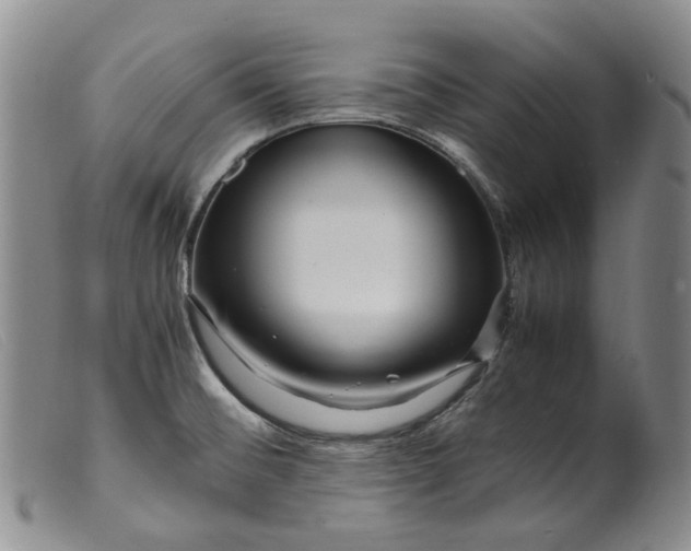 X0000099461476200805231754