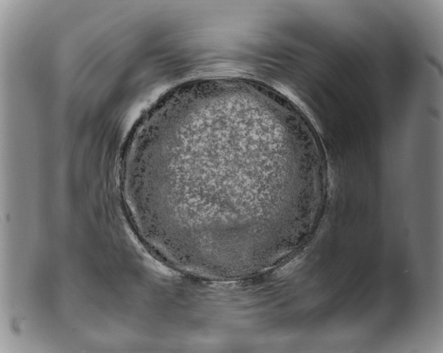 X0000099461477200805231754