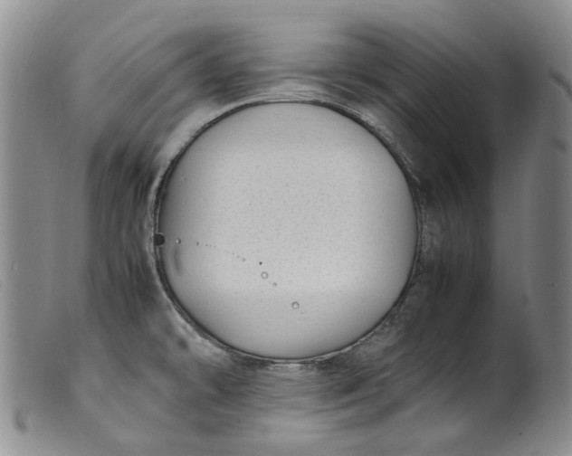 X0000099461478200805231754