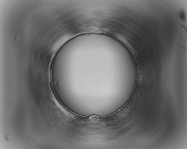 X0000099461479200805231754