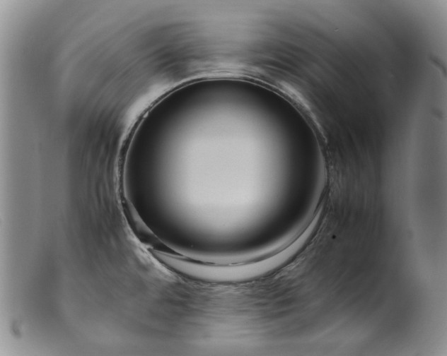 X0000099461480200805231754