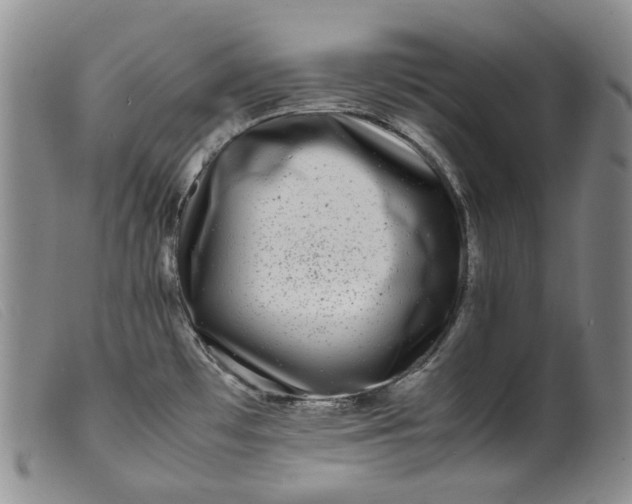 X0000099461481200805231754