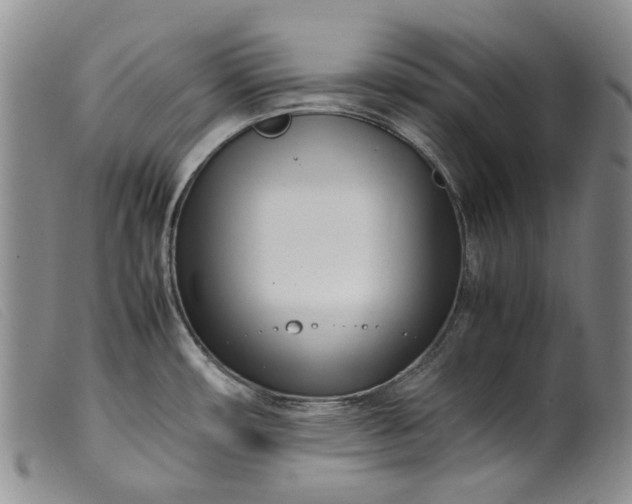 X0000099461482200805231754