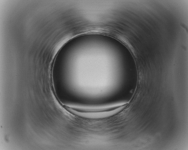 X0000099461483200805231754