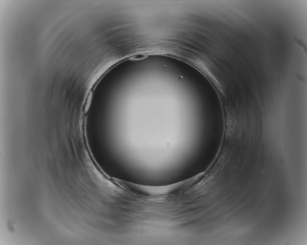 X0000099461484200805231754