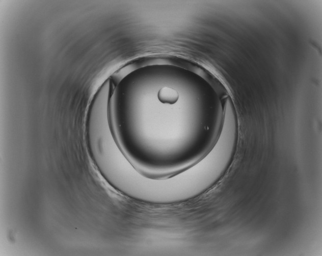 X0000099461485200805231754