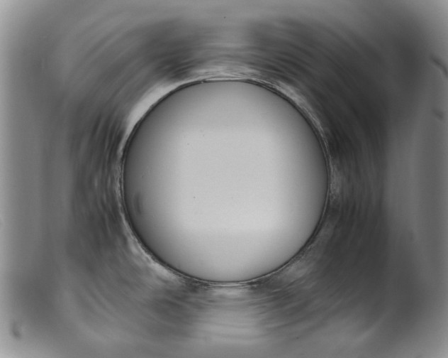 X0000099461486200805231754