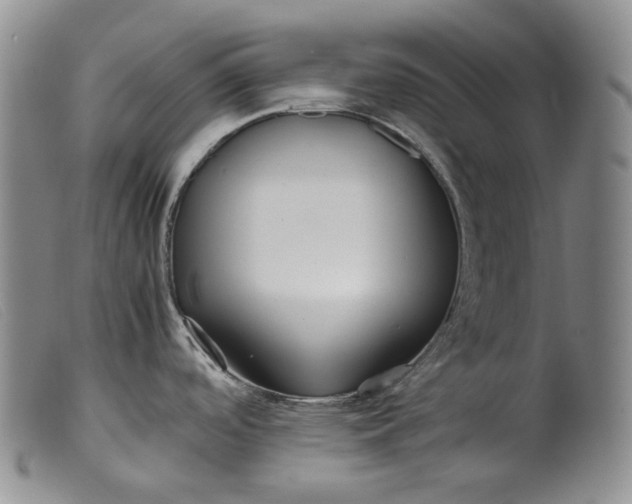 X0000099461488200805231754