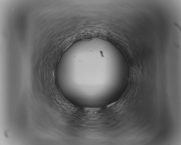 X0000099461489200805231753