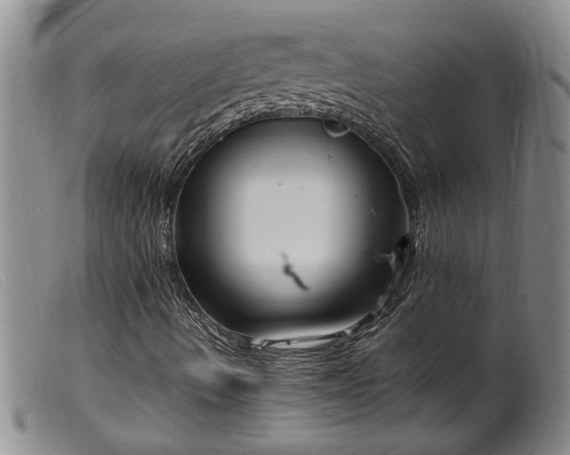 X0000099461490200805231753