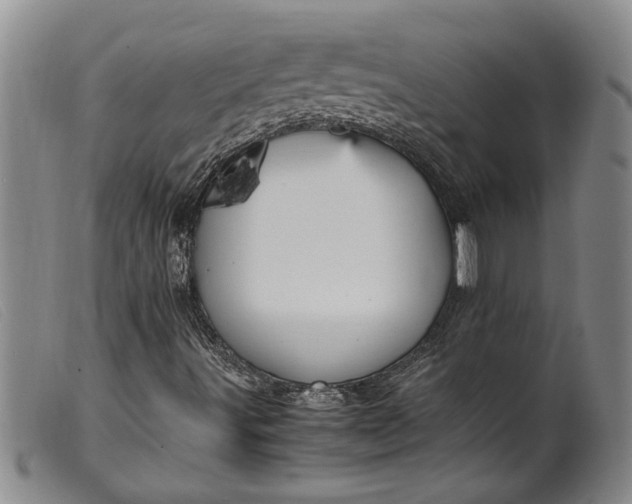 X0000099461491200805231753