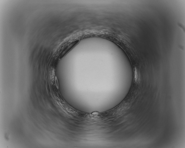 X0000099461492200805231753