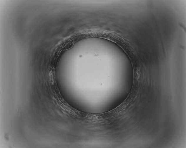 X0000099461493200805231753